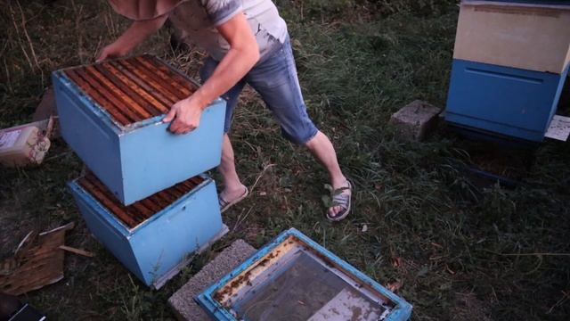 Осенний осмотр пчёл, исправляем ситуацию работая ночью. смотреть онлайн