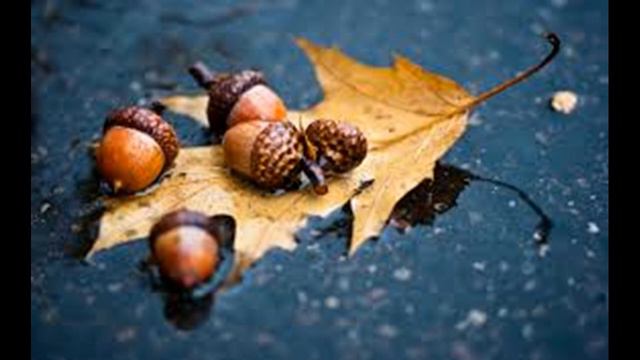 Как живу я без тебя.Авторская песня. смотреть онлайн