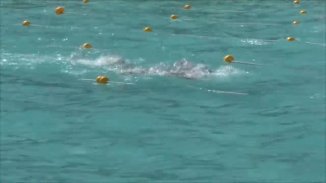 Roberto Gomez Atléta de Villa Mercedes EL DEPORTE PARA MEJORAR LA SALUD смотреть онлайн