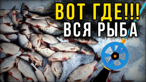 Вот это рыбалка! Ручей в тайге с крупной плотвой. Ловля на мормышку зимой