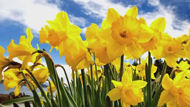 Поздравление с Международным женским днем смотреть онлайн