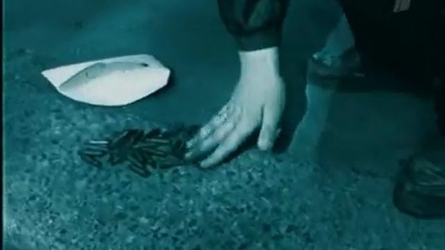 Криминальная Россия Последний роман обольстителя смотреть онлайн