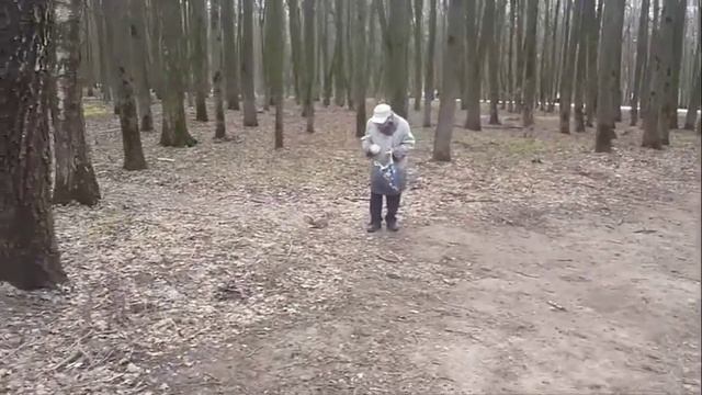 Центральный парк в Туле. Хорошая погода и белки. смотреть онлайн