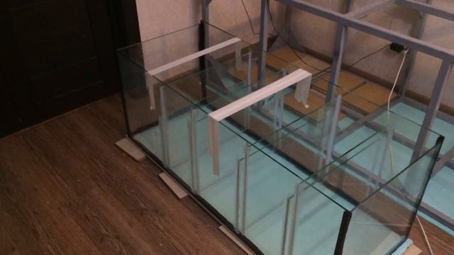 аквариумный самп 1 смотреть онлайн