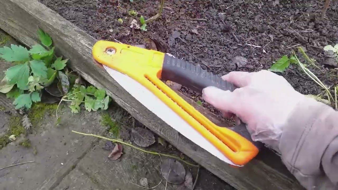 Роза-дерево и Пьер де Ронсар. Как пригнуть под укрытие смотреть онлайн