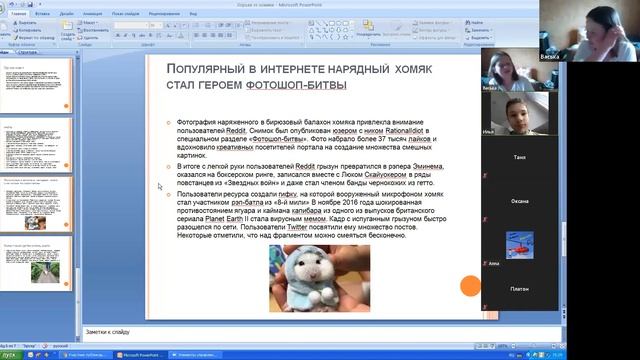Васька. «хорьки VS хомячки» смотреть онлайн