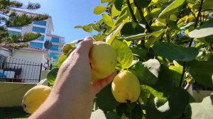 ADALYA ARTSIDE 5* Сиде Турция новый обзор отеля адалья артсиде