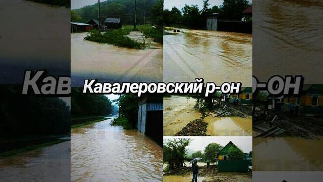 Приморский край, бедный наш смотреть онлайн