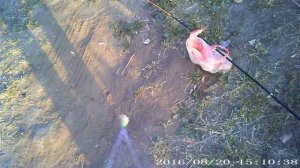 Рыбалка на китайскую сетку с кормушкой