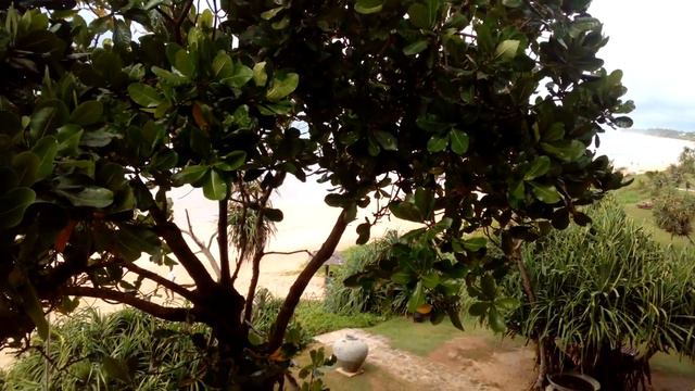 Завтраки с видом на Индийский океан смотреть онлайн