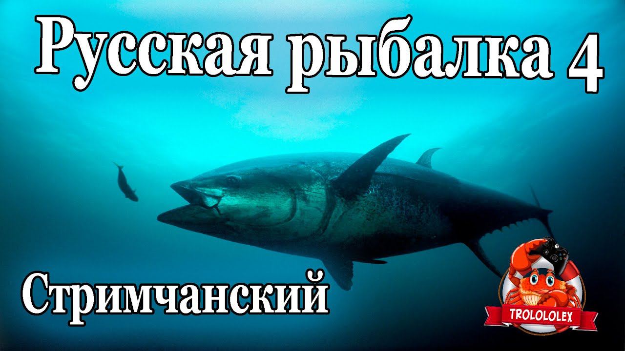 Русская рыбалка 4. Трофейный стрим смотреть онлайн