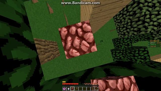 Как заприватить дом в майнкрафте??? а также как удалить пирват! смотреть онлайн