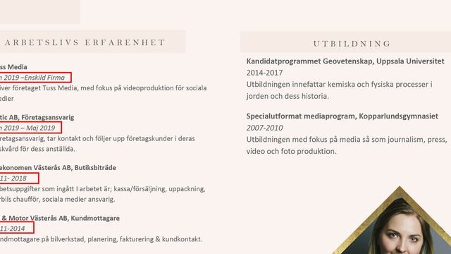 Шведский язык: учим языки с нуля: правильно резюме! смотреть онлайн