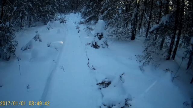 Проверка капканов. Охота на куницу капканами. Сезон 20/21г. смотреть онлайн