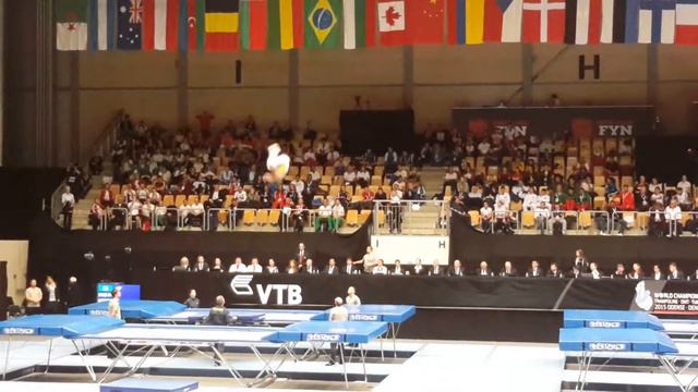NORDFORS Jonas SWE Optional Trampoline World Championships 2015 смотреть онлайн