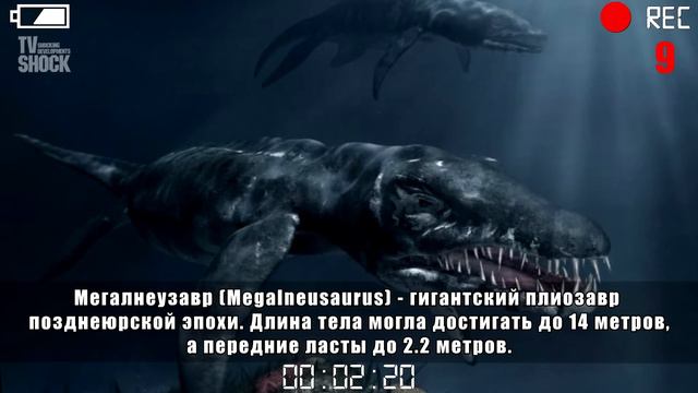 15 УЖАСАЮЩИХ ДОИСТОРИЧЕСКИХ МОРСКИХ ЧУДОВИЩ смотреть онлайн