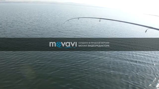 Как мы ловили крокодила гену на гусином озере смотреть онлайн