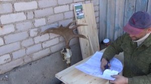 РОГА ЛОСЯ НА МЕДАЛЬОН