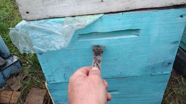 Цена мёда почему не берут, на каком мёде у меня зимуют пчёлы и как я избавляют от моли. смотреть онлайн