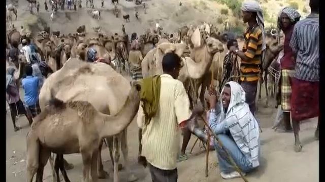 Bati market Ethiopia የባቲ ገበያ смотреть онлайн