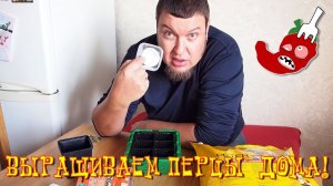 Как вырастить перец чили дома? Сажаем хабанеро в ноябре!