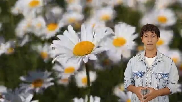 colored flowers in a dream meaning смотреть онлайн