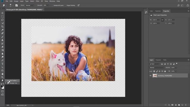 How to Restore the Default Toolbar in Photoshop смотреть онлайн