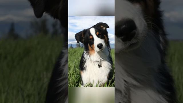 Берегите в себе Человека смотреть онлайн