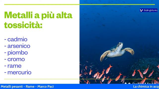 La Chimica e la Gestione nell'Acquario Marino 2 - Il Rame - Marco Paci смотреть онлайн