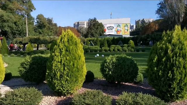 С днем рождения, родной. Каналу пол года. Скоро зубки 🤣 смотреть онлайн
