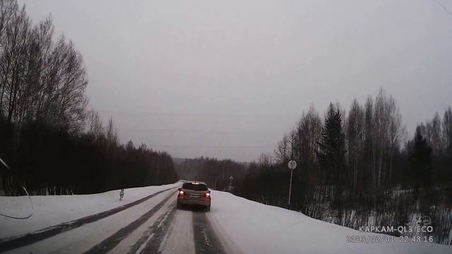 Выгул собаки на федеральной трассе смотреть онлайн