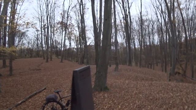 Прогулки по Киеву. Прогулка в Голосеевском парке. Буковая Роща и Экотропа. 30 октября смотреть онлайн