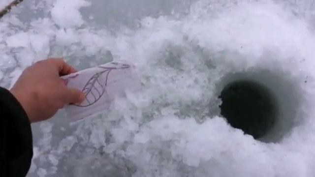 Ловля налима на донку.Неплохо отрыбачили.Рыбалка смотреть онлайн