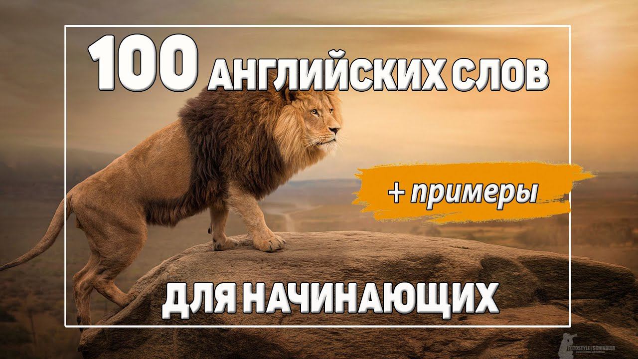 100 самых нужных английских слов для начинающих с примерами. Существительные. смотреть онлайн