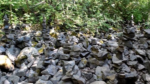 Заповедник Кивач. смотреть онлайн