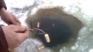 Самолов на налима #booom