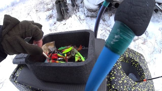 Первый лёд на Томи. Окунь в протоке 19.11.22г.