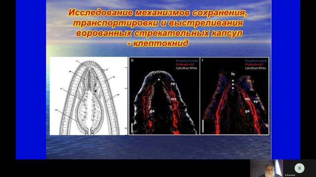 Кафедра зоологии беспозвоночных смотреть онлайн