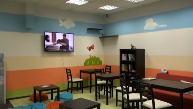 «ТерраКОТ» первое котокафе в Краснодаре смотреть онлайн