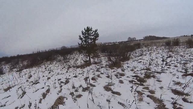 Охота на зайца в плохую погоду 7.11.2021 смотреть онлайн