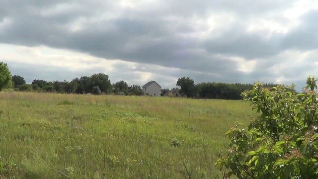 Шелковица...(извините за качество видео... смотреть онлайн