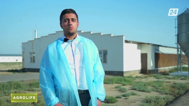 АКТАУСКАЯ ПТИЦЕФАБРИКА ПОСТАВЛЯЕТ МЯСО КУРИЦЫ В СОСЕДНИЕ РЕГИОНЫ смотреть онлайн