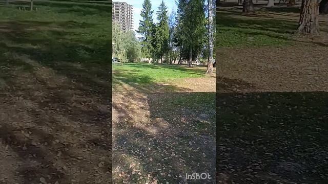 Это я, это я, это улица моя!