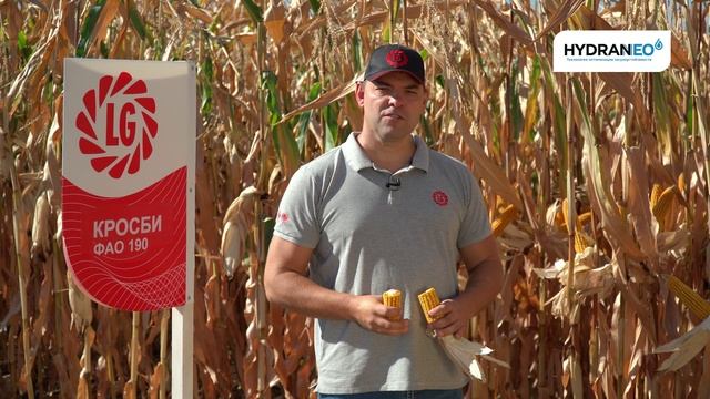 Обзор гибрида КРОСБИ