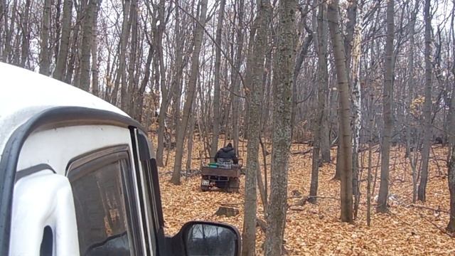 муравей смотреть онлайн