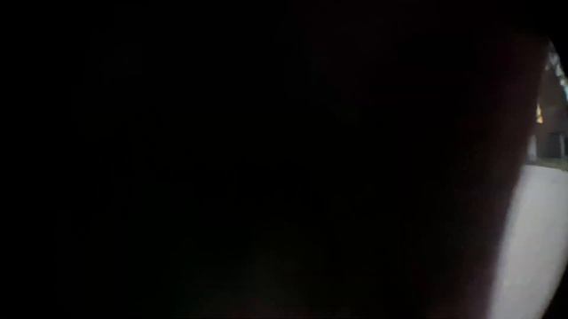 Сняли все что можно влог