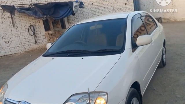 Chaman boader Non custom paid x Colla 2003 cc1500 perl white смотреть онлайн