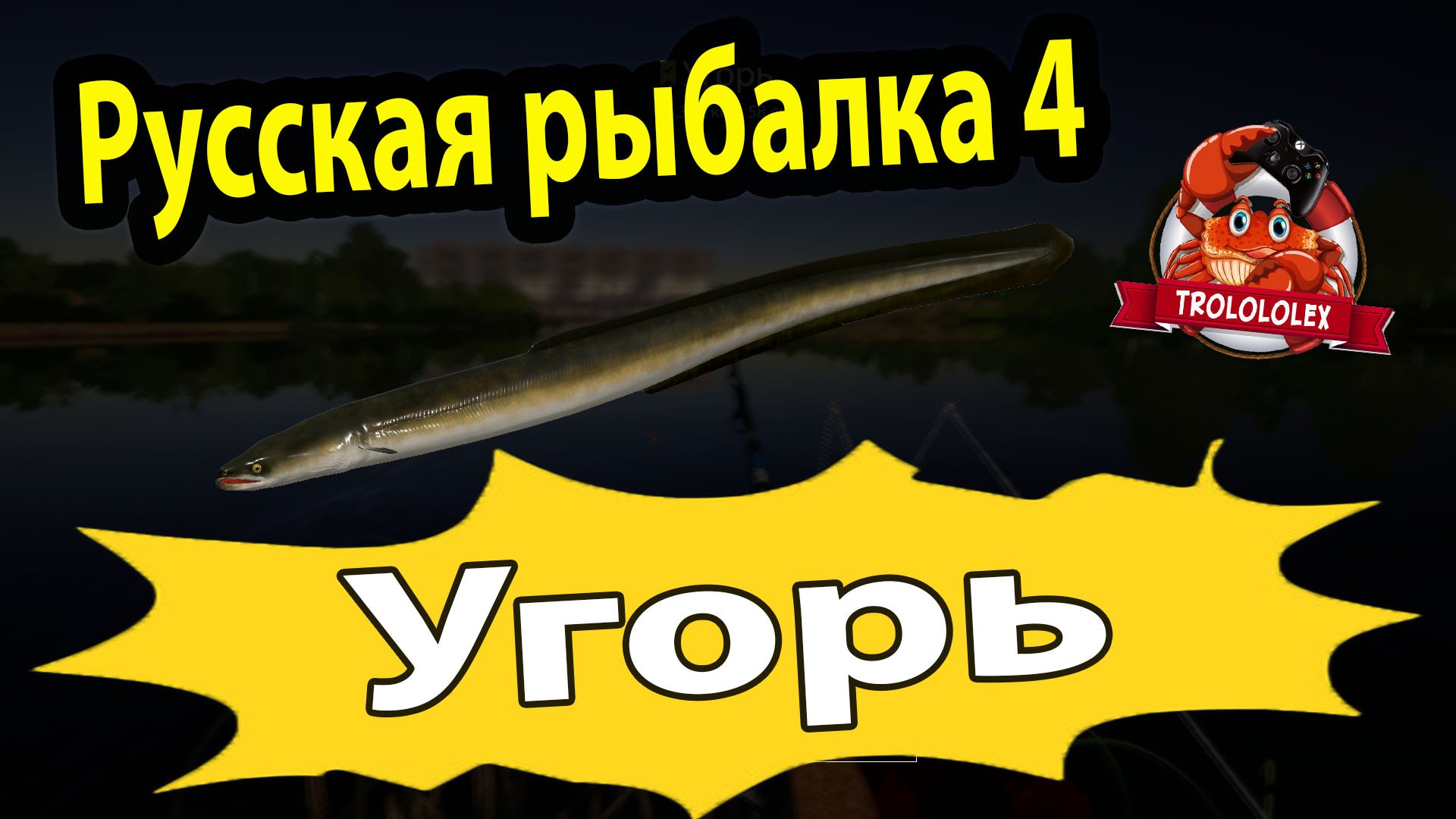 Русская рыбалка 4. Угорь на волхове. Трофейный Рыбец