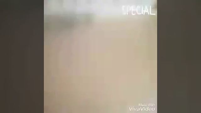 Поездка в город Мышкин/заселения в Отель на лесной смотреть онлайн