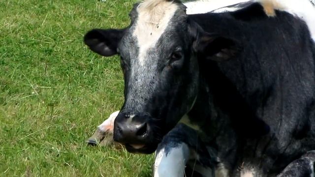 Samsung Camera WB250F 1080p Video Test смотреть онлайн